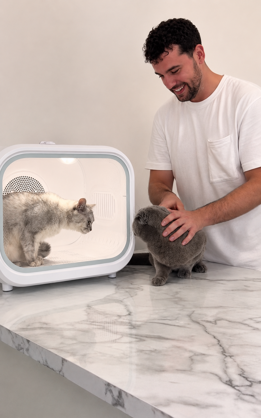 Cat being gently groomed during a seasonal de-shed treatment